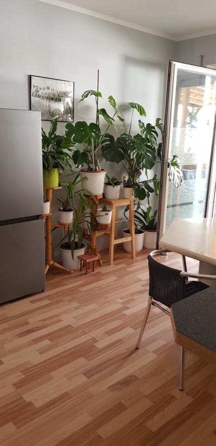 Haus Am Brunnen Apartment Lingen Luaran gambar